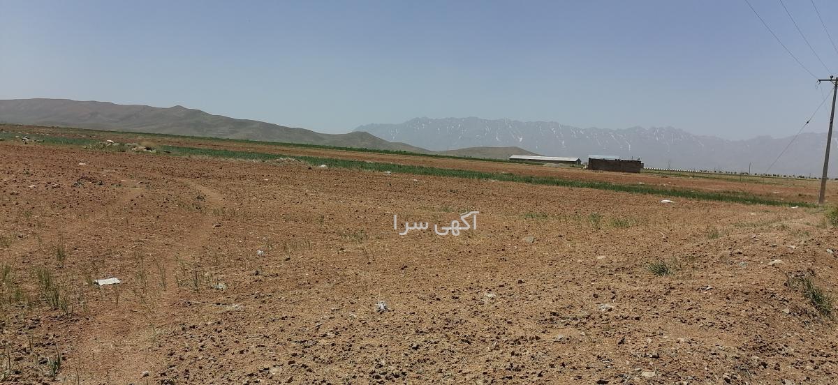 بزرگترین گلخانه غرب کشور