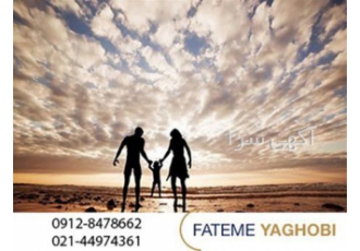 وکیل متخصص در زمینه خانواده