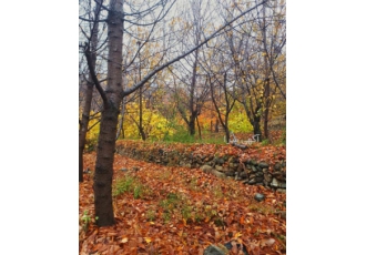 باغ باغچه باغ زمین باغچه کن سولقان روستای سنگان آبشار سنگان روستایی