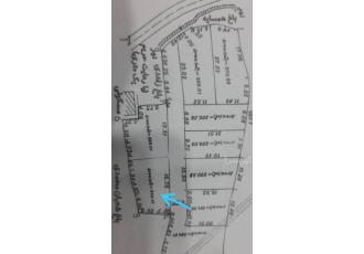 زمین طرح هادی زیباکنار گیلان مناسب سرمایه گذاری زیباکنار گیلان 244 متر