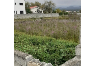 زمین ۲۹۰ متری در مازندران نور 290 متر زمین در مازندران نور روستای
