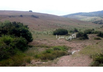 زمین با کاربری باغی از متری تومان چند قطعه زمین هکتاری از 2 هکتار تا 15
