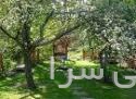 خدمات دولت همراه