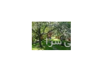 اجاره آپارتمان املاک افشین خریدو فروش آپارتمان خریدآپارتمان فروش