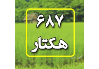 فروش 687 هکتار زمین در گلستان ( فوق العاده )