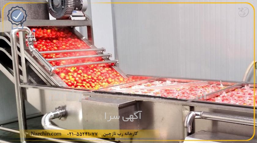 رب گوجه دیجی کالا