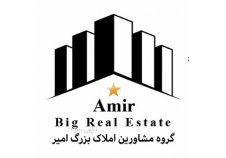 املاک بزرگ امیر گروه مشاورین وکارشناسان املاک بزرگ امیر با کادری مجرب