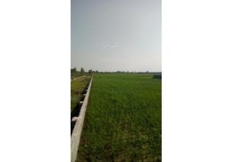 ۳۰۰۰۰متر زمین کشاورزی بر خیابان اصلی سرخرود اطلاعات فروش زمین کشاورزی