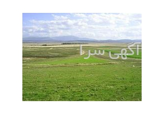 فروش زمین ملکی 2100 هکتار ملکی مستثنیات تک برگ قیمت 65 میلیارد ت