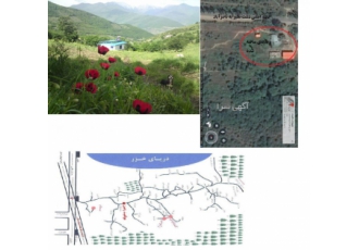 زمین 1000 متری برای فروش در کجور ، مازندران