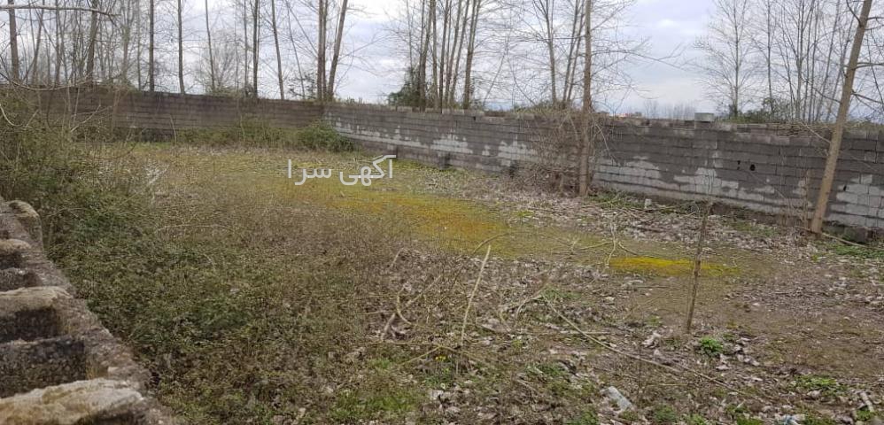 آگهی زنان در دیوار
