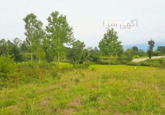 آسفالت قزوین