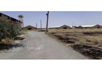 حراج مرغداری گوشتی ۶۰۰۰۰ تایی زیر قیمت!!!!!!! مرغداری بین اشتهارد