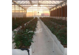 فروش گلخانه با تجهیزات اسپانیایی 5000 متر گلخانه تماما وارداتی