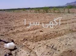 تاکسی تلفنی شهرضا