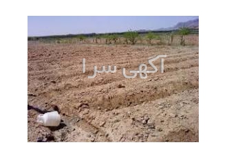 زمین زراعی( فروش معاوضه با باغ یا منزل) زمین زراعی واقع در صحرای چغاد