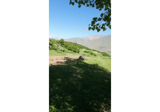 فروش زمین ۶۲۰۰۰ متری ۶ ۲ هکتار در عبدالمناف دارای آب اختصاصی از روستا