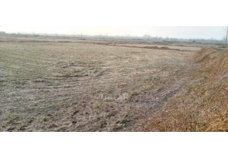 فروش زمین کشاورزی در گیلان آستانه اشرفیه فروش زمین کشاورزی در گیلان آستانه اشرفیه