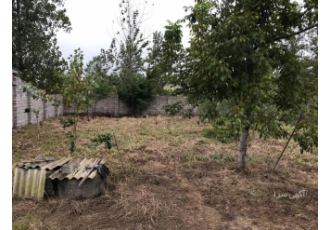 زمین ساحلی دیوارکشی شده زیر قیمت ▪️کد Z10