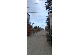 املاک ستاره شمال