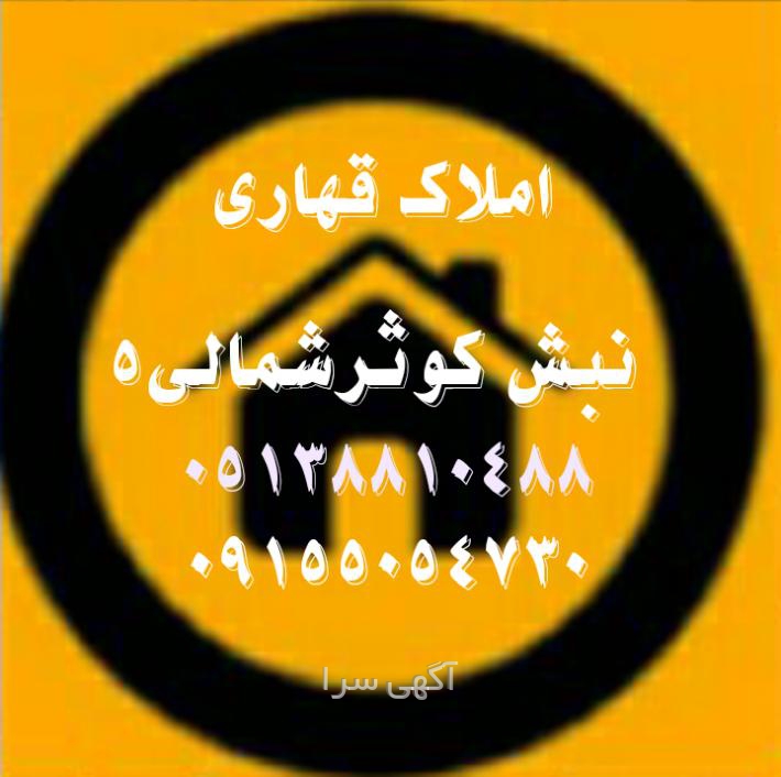 سوپرمارکت شبانه روزی مشهد هاشمیه