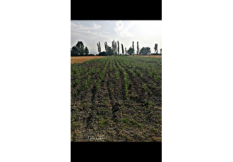 زمین کشاورزی 1800متر- از روستاهای گرگان