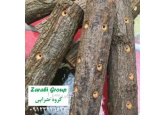 هیزم هیزم طبیعی هیزم دکوری در سایزهای متنوع هیزم هیزم طبیعی هیزم