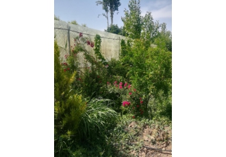 ۶۰۰ متر باغ 600 متر باغ در روستای قلعه آذری 1 ساعت فاصله با تهران ابعاد