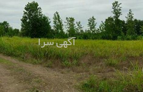 لوازم یدکی علیپور رشت