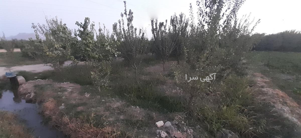 آگهی های خدمات ساختمانی - زازران
