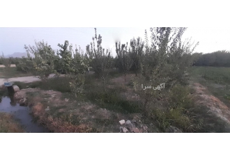 800 متر باغ در زازران