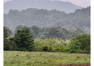 زمین زیر یک میلیارد نوشهر زمین 300 متری نوشهر مناسب سرمایه گذاری سند