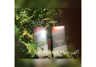 فروش قهوه گانودرما ، قارچ گانودرما درجه یک
