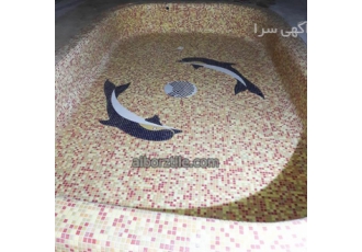 ساخت استخرسوناجکوزی وتاسیسات ساخت وطراحی اجرا بازسازی تاسیسات سیمانکاری