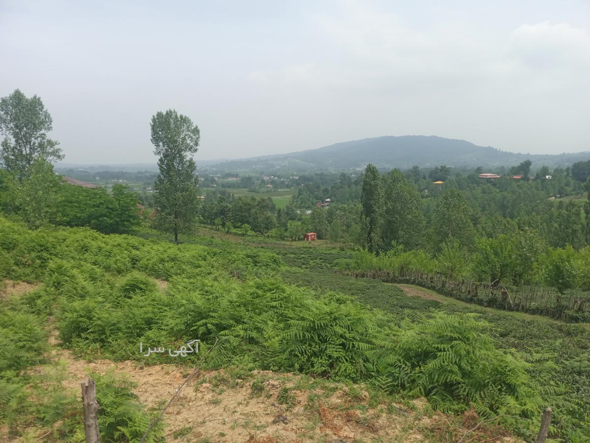 آسفالت طبیعی