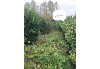 فروش زمین شهرکی روستایی محمودآباد مازندران روستای گیلاپی واقع در شهرک
