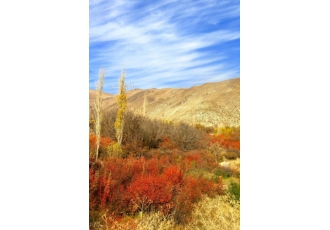 باغ و زمین ۶۳۰ متر شهرستانک بزرگراه تهران شمال فروش زمین شهرستانک