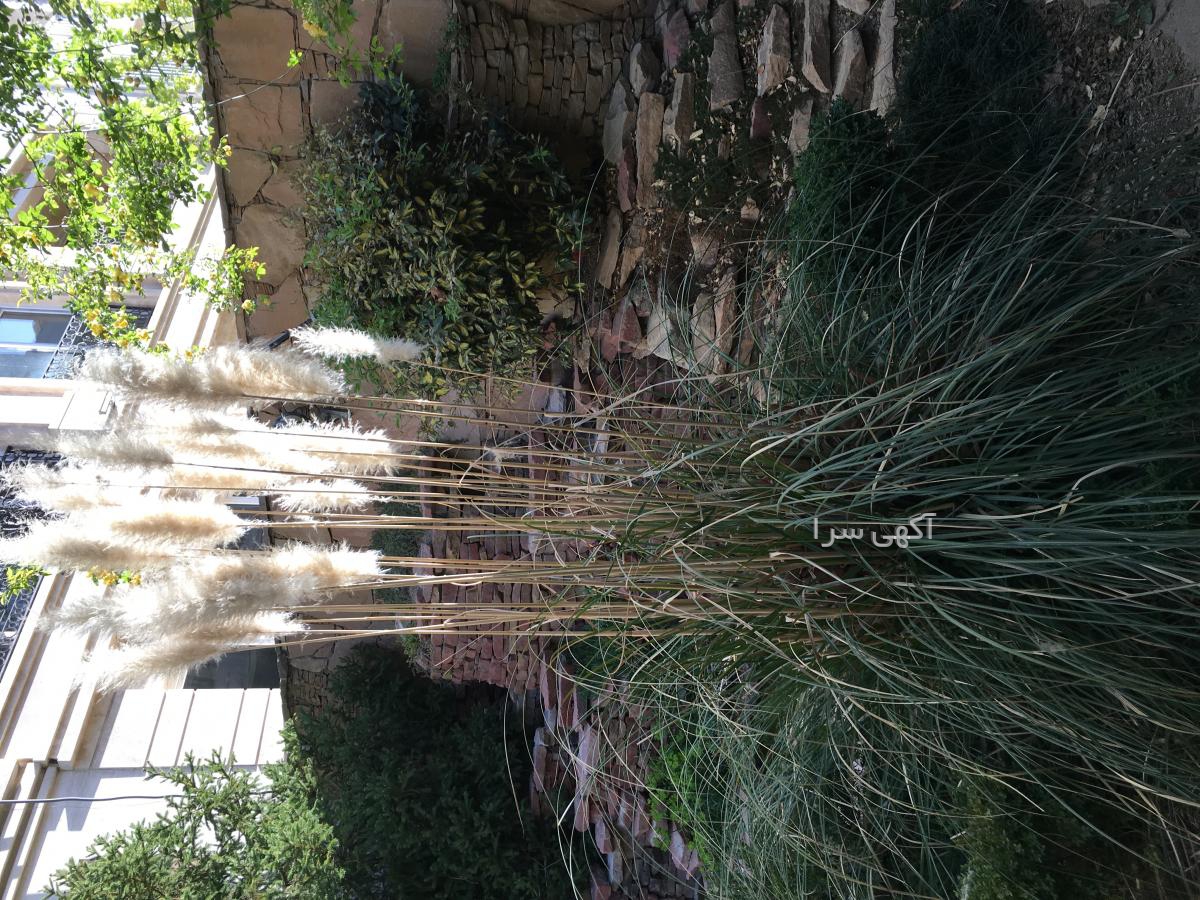 رنگ مو یخی استخوانی