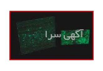شب تاب کننده سنگ و گچ شب تاب کننده سنگ آجر گچ و دکوراسیون این پوشش یک