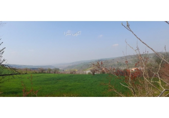 زمین کشاورزی دراطراف ساری زمین بافاصله 50 متری از طرح هادی روستایی