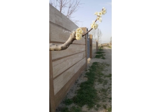 زمین آماده ویلا سازی در سهیلیه کرج