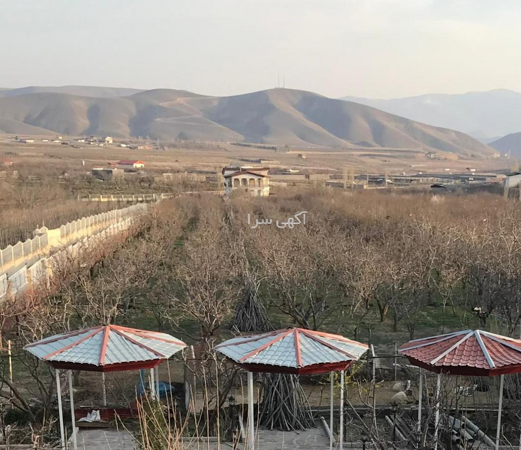 گلخانه شلیل حسن پور