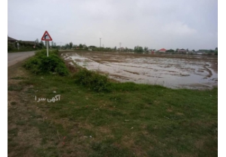 ۲۲ هزار متر زمین زراعی نزدیک تالاب بین المللی انزلی 22 هزار متر زمین