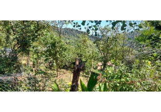 زمین کاربری مسکونی روستای درودخان شفت زمین با متراژ 313متر کاربری کاملا