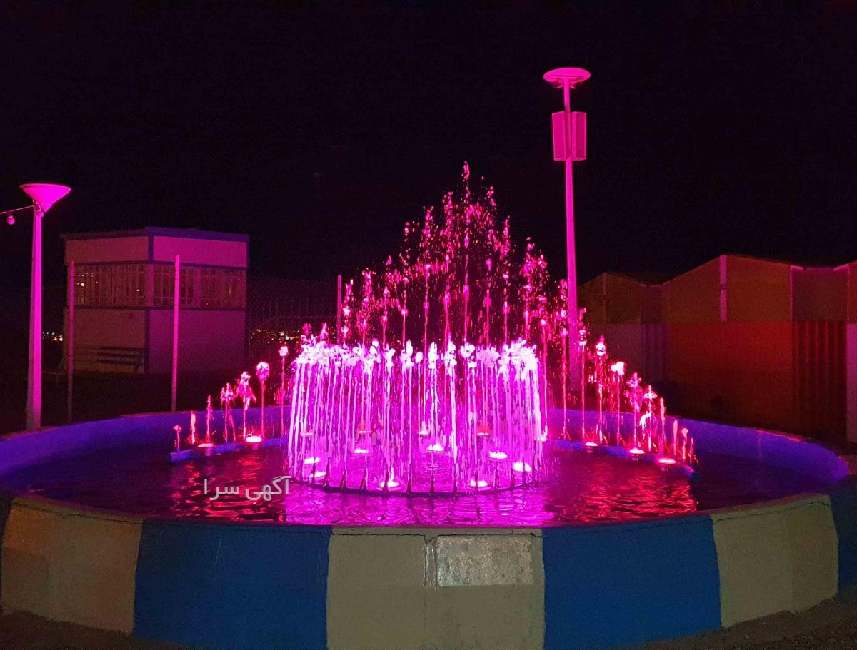 شیر خشک بچه گربه پرسا
