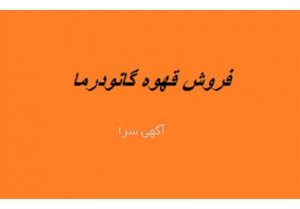 بهترین قیمت قهوه گانودرما اصل به صورت سراسری در دسترس شماست در تهران