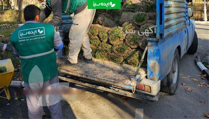آگهی های کشاورزی و دامداری - لطف آباد