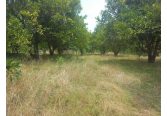 فروش زمین برای سرمایه گذاری