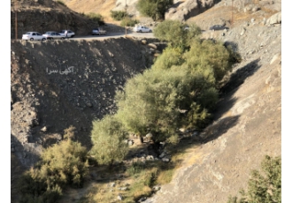 فروش زمین زمین با پلاک ثبتی در جاده zwnj ی ورده و سیباندره بر جاده