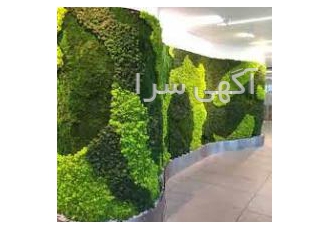 طراحی و اجرای دیوار سبز طبیعی و خزه ای دیوارهای یکنواخت در دکوراسیون